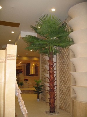 【仿真棕榈树厂家装饰景观工程植物大树迷你棕榈树室内外专用7米】价格,厂家,图片,人造仿真植物,河南省新枫林仿真园艺-